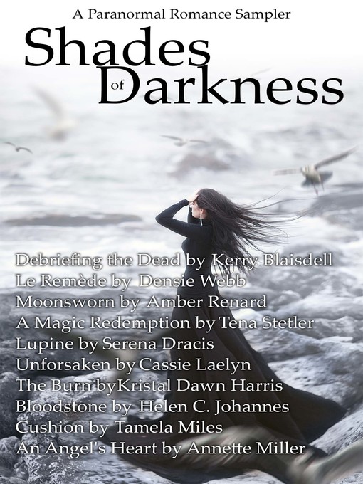 Title details for Shades of Darkness by Wild Rose Press - Available